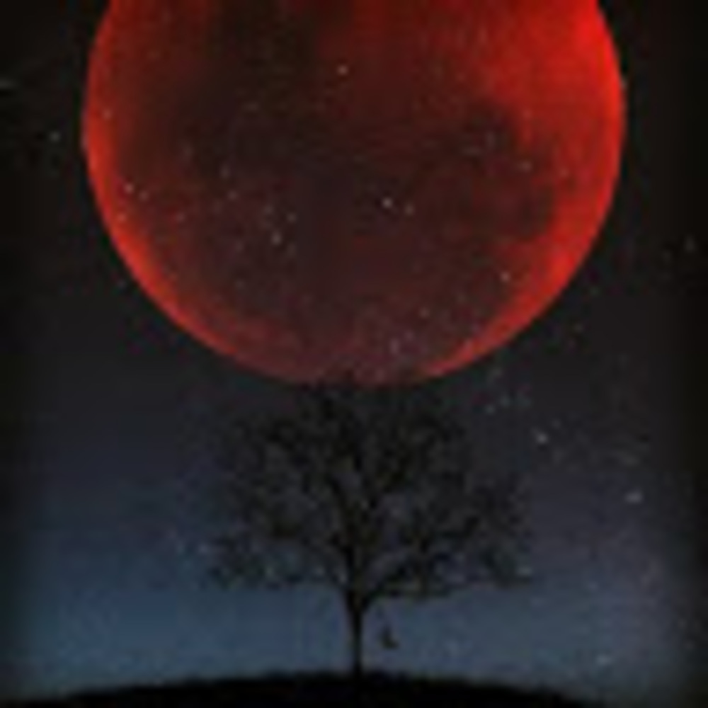 Meet your Posher, Sydney